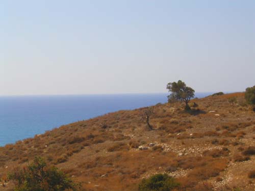 cyprus at kourion