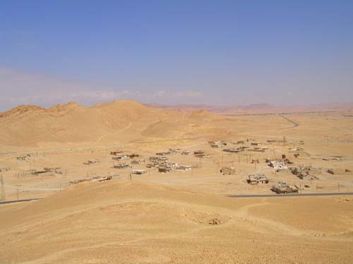 palmyra desert