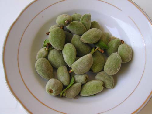 fresh almonds